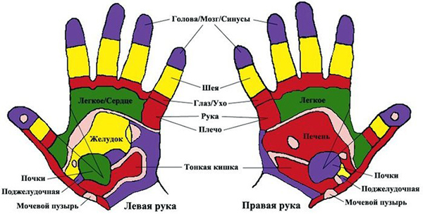 Самодиагностика: считываем болячки по рукам
